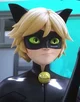 Cat noir 