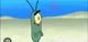 Plankton 