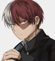 Shoto Todoroki