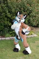 Furry
