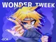 Wonder Tweek
