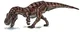 Albertosaurus 