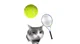 Tennis Cat