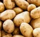 Potato