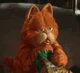 Live Action Garfield