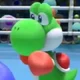 Yoshi Pro Boxer