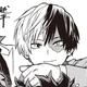 Shoto Todoroki