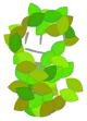 David as leafy