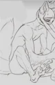 Wolf Peter 