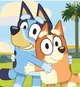 Bluey and Bingo
