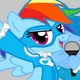 Wrestler Dashie
