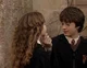 Hermione and Harry 