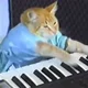 Keyboard Cat