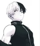 Shoto Todoroki