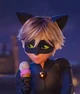 cat noir