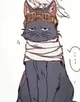 Cat aizawa 
