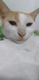 PedroLuiz