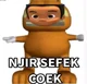 Sefek coeg
