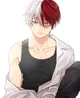 Shoto Todoroki