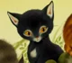 Ravenpaw