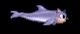 Sonic The Dolphinhog