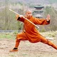 Shaolin Monk Warrior