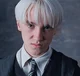 Older Brother draco
