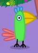 Polly Parrot