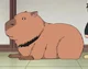 innocent capybara