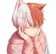 Neko Todoroki