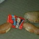 Isopods eating chips