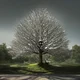 Life RPG