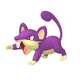 Your Pet Rattata