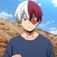 Todoroki Shoto BL