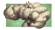 HyperBuff Bimbo Haru