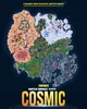 Fortnite Cosmic
