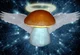 mushroom god 