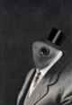 SCP-527 Mr Fish