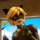Chat Noir 