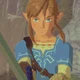 Link BOTW