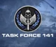 Task Force 141