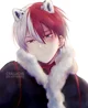 Todoroki