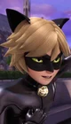Chat noir Adrien
