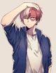 Shoto todoroki 