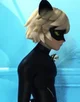 Cat noir