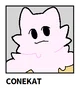 ConeKat