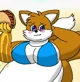 Tailsko the Fat Fox
