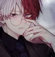 Shoto Todoroki