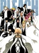 Bleach Captains 