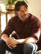 Alcide 
